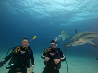 SharksL2_1.26.10