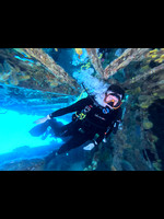 SharksL2_1.1.5