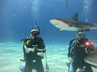 SharksL_1.1.9