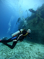 sharks_1.2.2