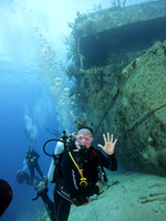sharks_1.4.2