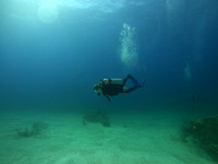 G0028884