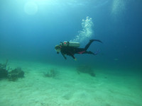 G0038885
