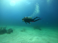 G0038887