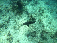 G0058899