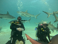 SharksL_1.5.12