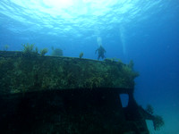 G0055910
