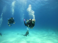 G0055143
