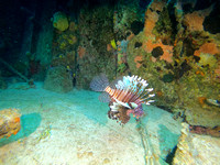 G0045903