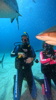 sharks_1.7.6