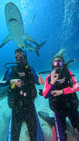sharks_1.7.5