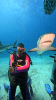 sharks_1.12.1