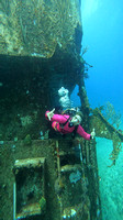 sharks_1.1.1