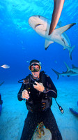 sharks_1.5.12