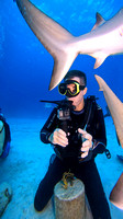 sharks_1.5.2