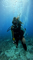 sharks_1.3.2