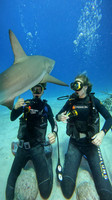 sharks_1.6.7