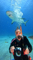sharks_1.8.7