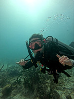 Sharks V_1.4.3