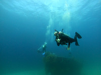 G0054475