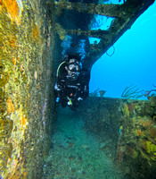 G1479034