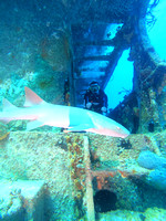 G0080868