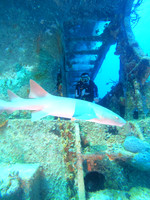 G0080869