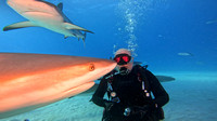 Sharks_1.18.2