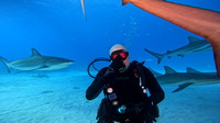 Sharks_1.18.3