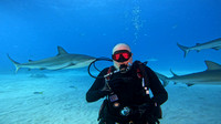 Sharks_1.18.4