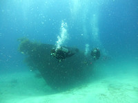 G0010104