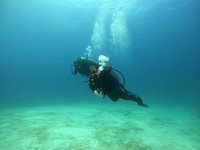 G0030115