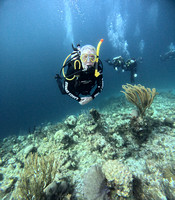G0607929