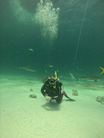 SharksLNDS_1.2.2