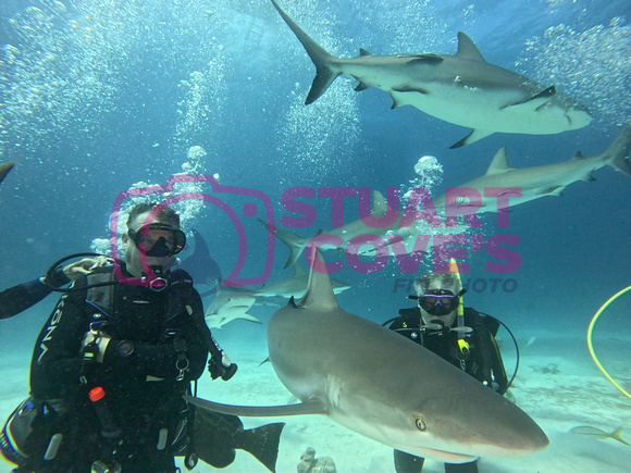 SharksLNDS_1.3.7