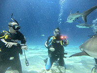 SharksL_1.1.7