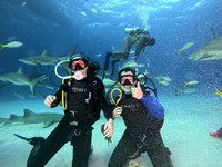 SharksL_1.1.20