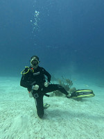 1stdL_1.1.13