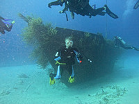 sharks_1.5.5