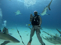 SharksLand_1.5.2