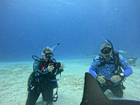 sharkzLand_1.33.2
