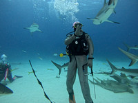 SharksLand_1.5.1