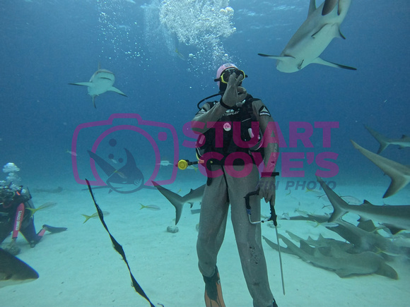 SharksLand_1.5.1