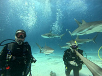 SharksLNDS_1.3.9