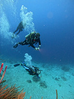 Stills vert_1.2.1