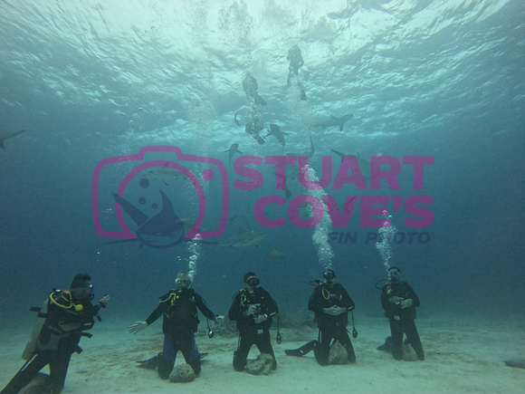 SharksL_1.5.2