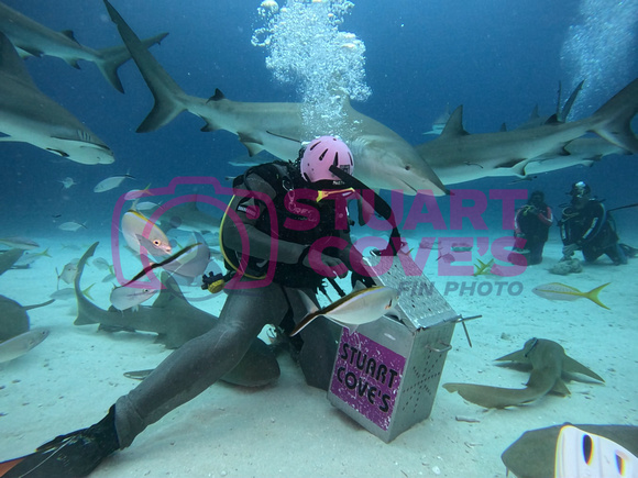 SharksLand_1.6.2