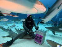 SharksLand_1.6.5