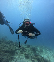 G6124945