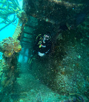 G1697482